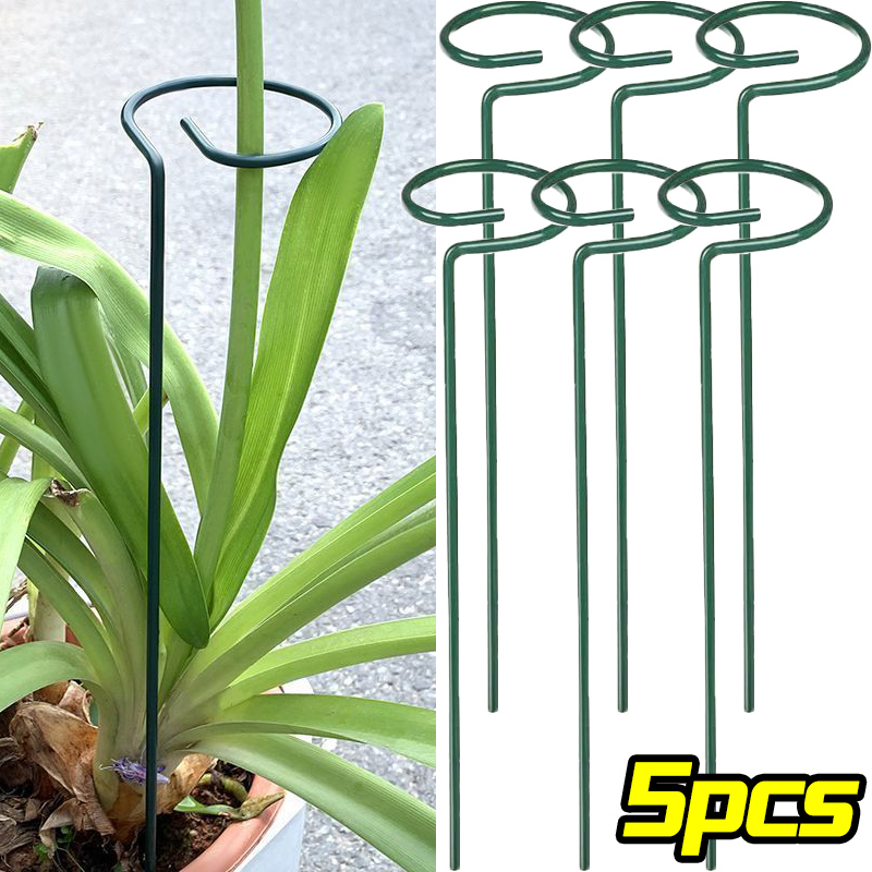Florist Supp - 1/10pcs Garden สนับสนุน Stake แหวนโลหะ SINGLE