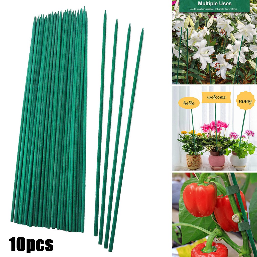 Florist Supp - 10Pcs 40ซม.พืชสีเขียวสนับสนุน Sticks Canes ปลูกผักสำหรับสวนดอกไม้ตกแต่งวันหยุด Plant