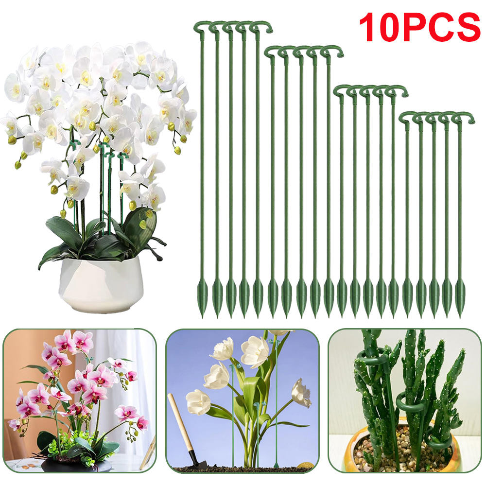 Florist Supp - เสาค้ำต้นไม้ 5/10 ชิ้น สำหรับยึดกระถางดอกไม้ ใช้ได้กับกล้วยไม้ ไม้อวบน้ำ