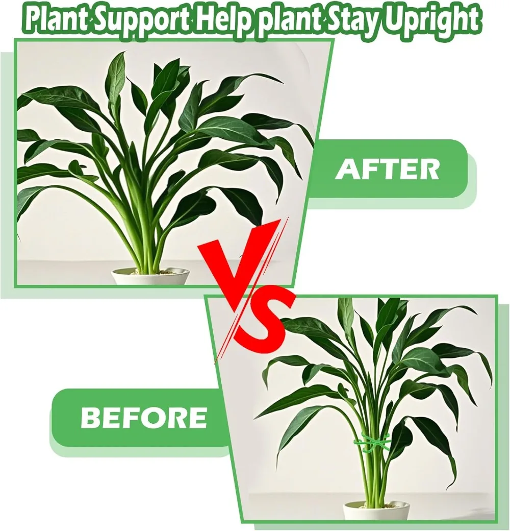 ดอกไม้StemสนับสนุนStakesปีนเขา - Florist Supp บทวิจารณ์และราคา