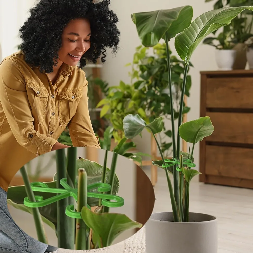 ดอกไม้StemสนับสนุนStakesปีนเขา - Florist Supp บทวิจารณ์และราคา