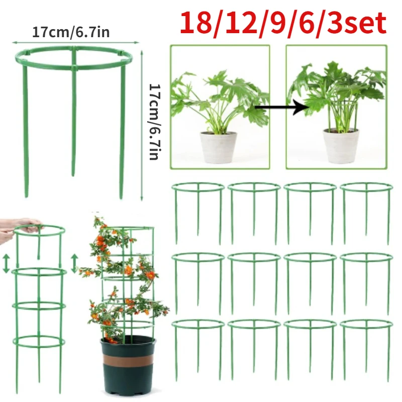 กรงมะเขือเทศ Trellis คอลัมน์พล - Florist Supp บทวิจารณ์และราคา