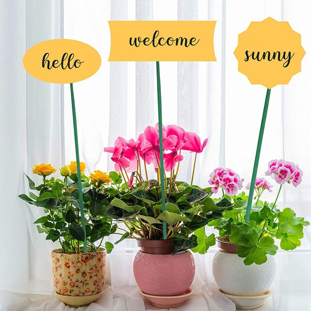 10Pcs 40ซม.พืชสีเขียวสนับสนุน  - Florist Supp บทวิจารณ์และราคา