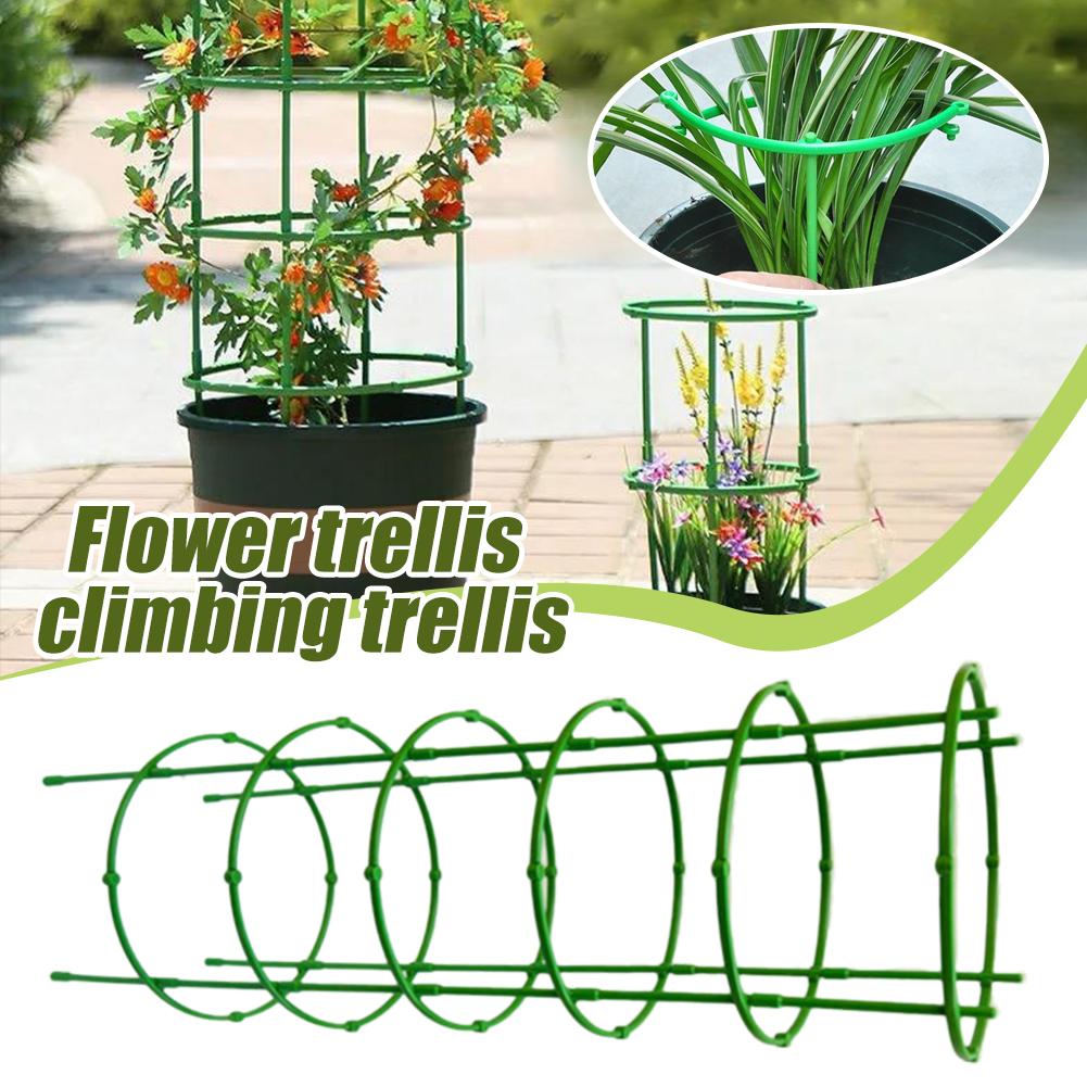 โครงตาข่ายพลาสติกสำหรับมะเขือเ - Florist Supp บทวิจารณ์และราคา