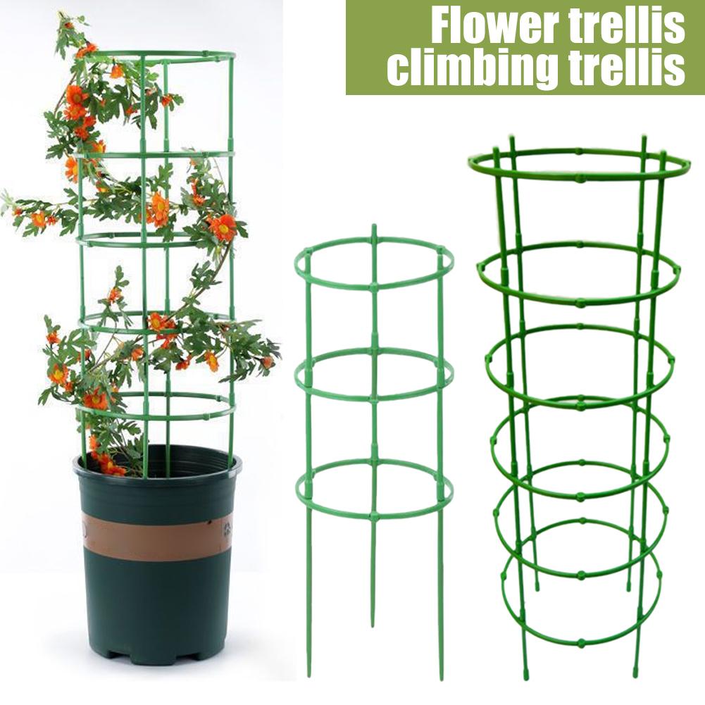 โครงตาข่ายพลาสติกสำหรับมะเขือเ - Florist Supp บทวิจารณ์และราคา