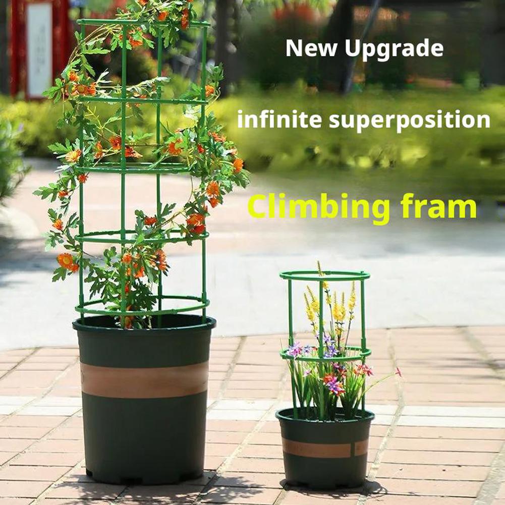 โครงตาข่ายพลาสติกสำหรับมะเขือเ - Florist Supp บทวิจารณ์และราคา