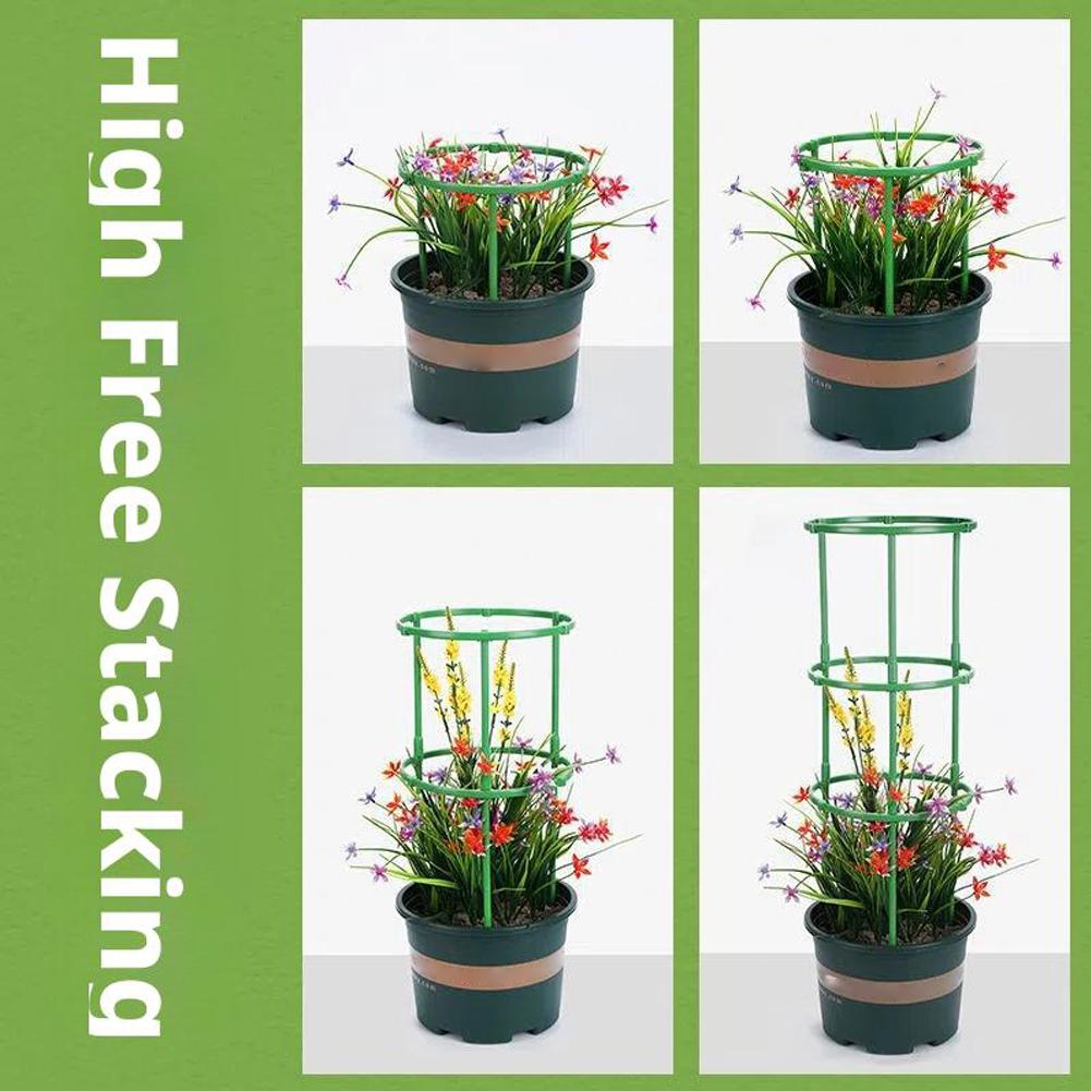 โครงตาข่ายพลาสติกสำหรับมะเขือเ - Florist Supp บทวิจารณ์และราคา