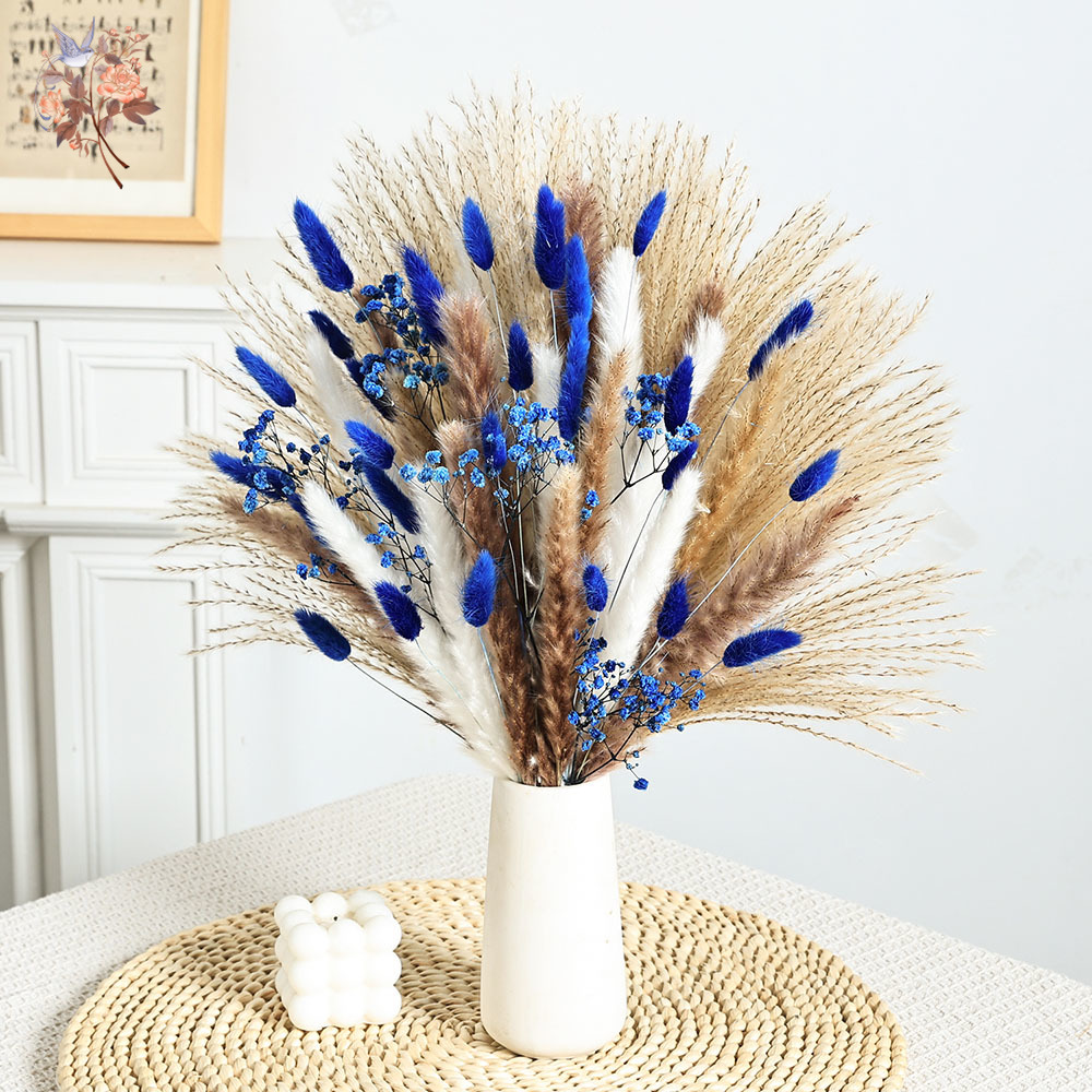 70 Stem Blue Fluffly หางกระต่า - Florist Supp บทวิจารณ์และราคา