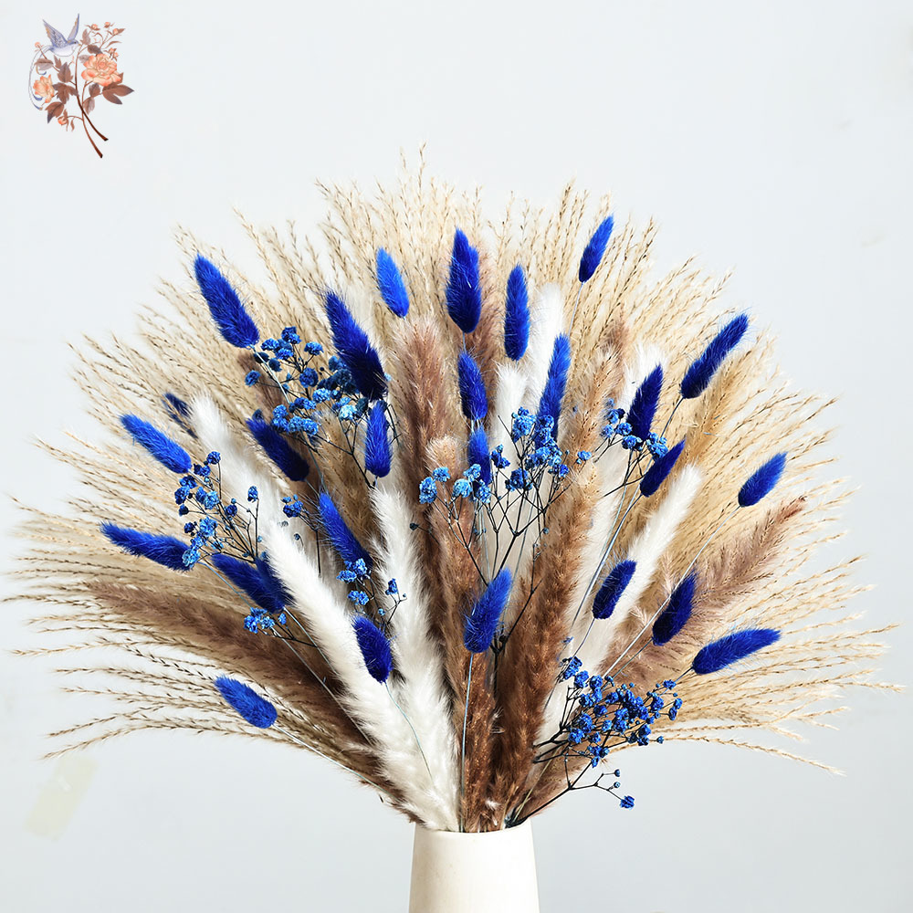 70 Stem Blue Fluffly หางกระต่า - Florist Supp บทวิจารณ์และราคา