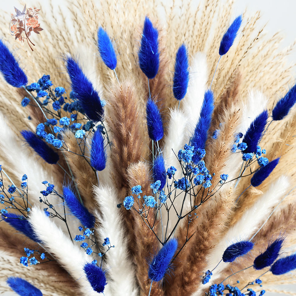 70 Stem Blue Fluffly หางกระต่า - Florist Supp บทวิจารณ์และราคา