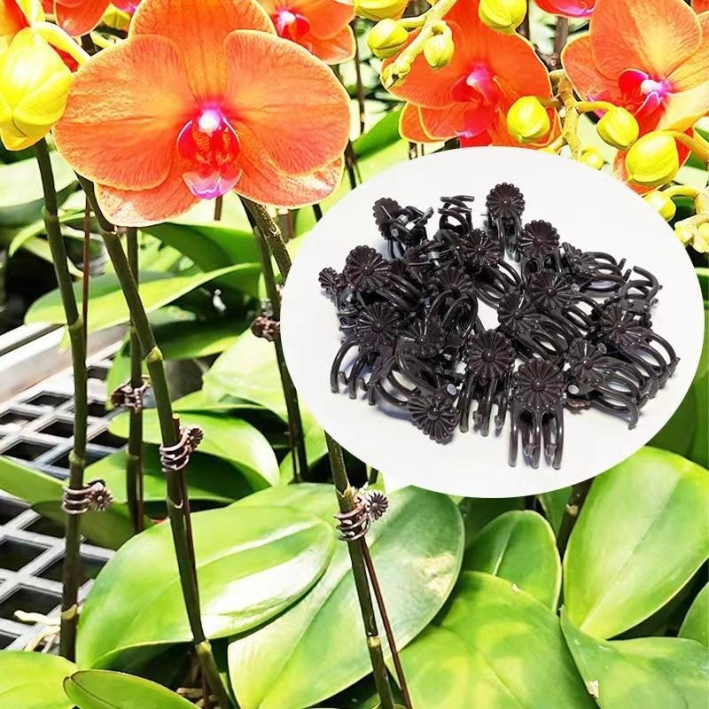 คลิปหนีบต้นไม้ขนาดเล็กสำหรับขา - Florist Supp บทวิจารณ์และราคา
