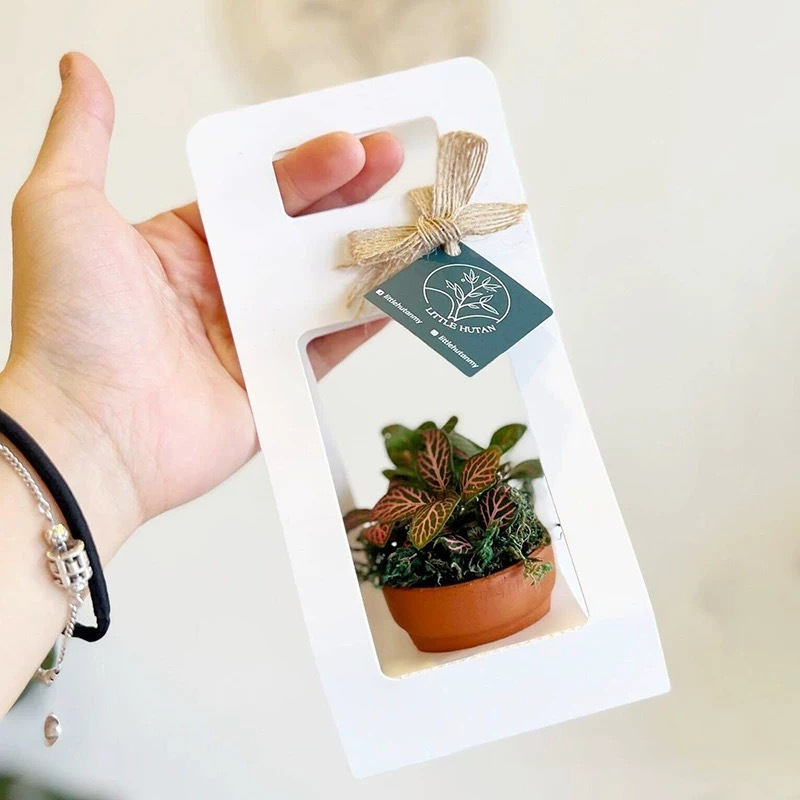 ชุดถุงห่อของขวัญสำหรับไม้อวบน้ - Flower Wrap Kraft บทวิจารณ์และราคา