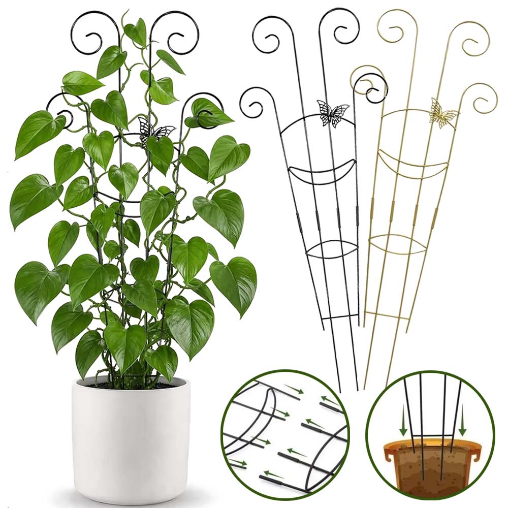 โครงตาข่ายพลาสติก ABS สำหรับพื - Florist Supp บทวิจารณ์และราคา