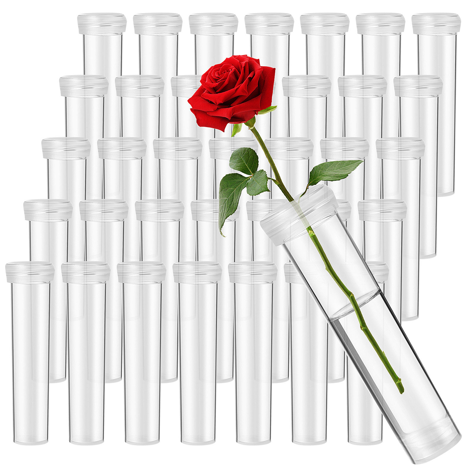 หลอดน้ำสำหรับดอกไม้ 100 ชิ้น ป - Supply For Florist บทวิจารณ์และราคา