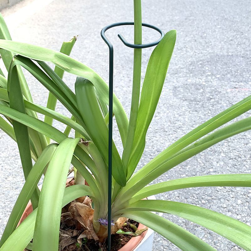 1-10pcs โลหะ SINGLE Stem พืชไม - Florist Supp บทวิจารณ์และราคา