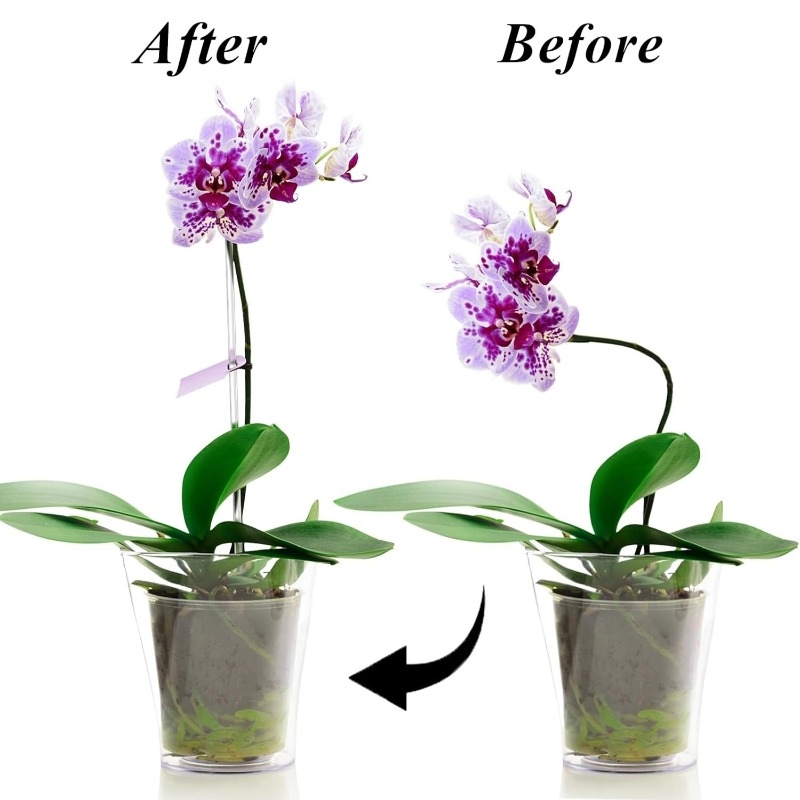 เสาค้ำดอกไม้แบบใส ใช้ซ้ำได้ ทำ - Florist Supp บทวิจารณ์และราคา