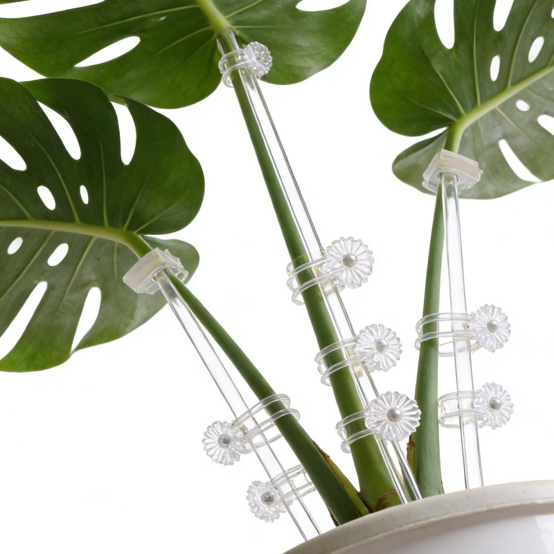 เสาค้ำดอกไม้แบบใส ใช้ซ้ำได้ ทำ - Florist Supp บทวิจารณ์และราคา