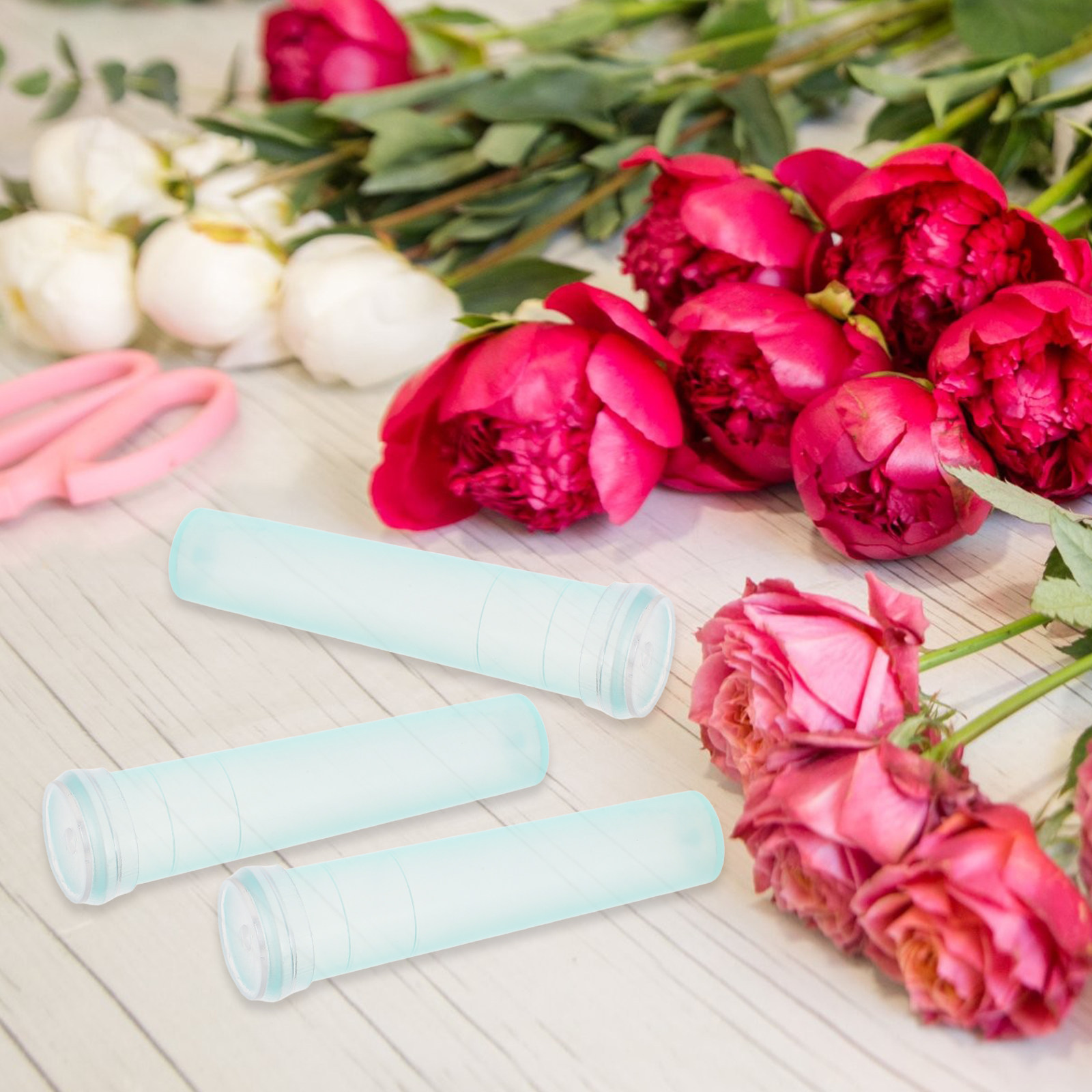 หลอดเก็บรักษาดอกไม้ 100 ชิ้น ส - Supply For Florist บทวิจารณ์และราคา