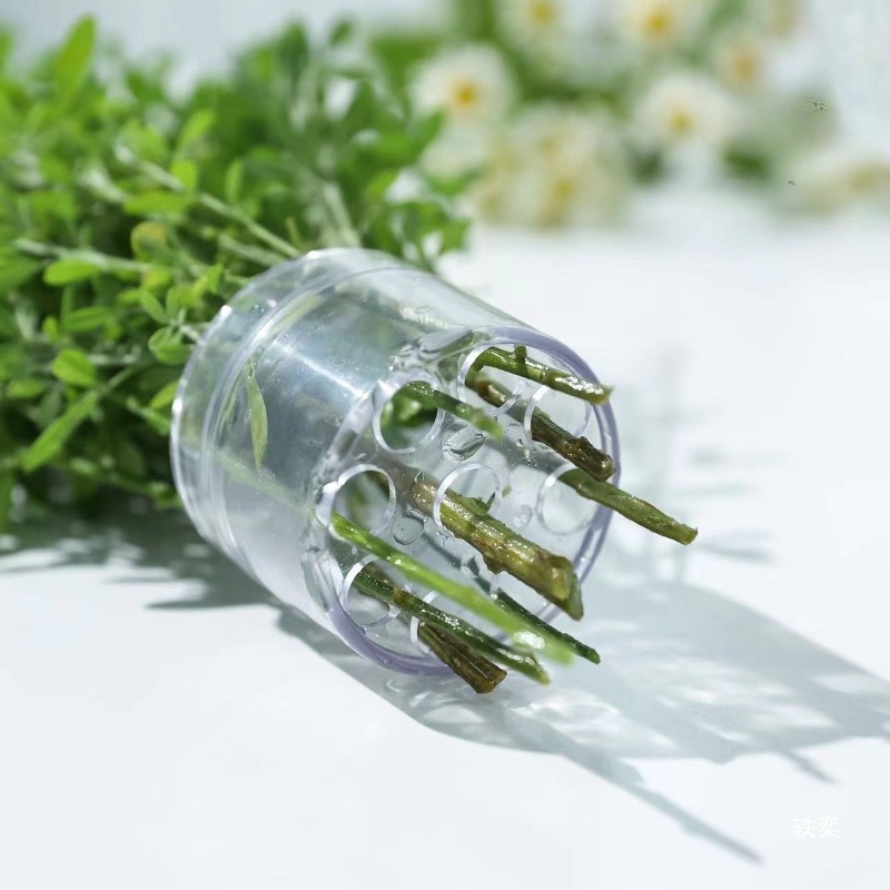 เกลียวผู้ถือ Stem ทนทาน CLEAR  - Florist Supp บทวิจารณ์และราคา