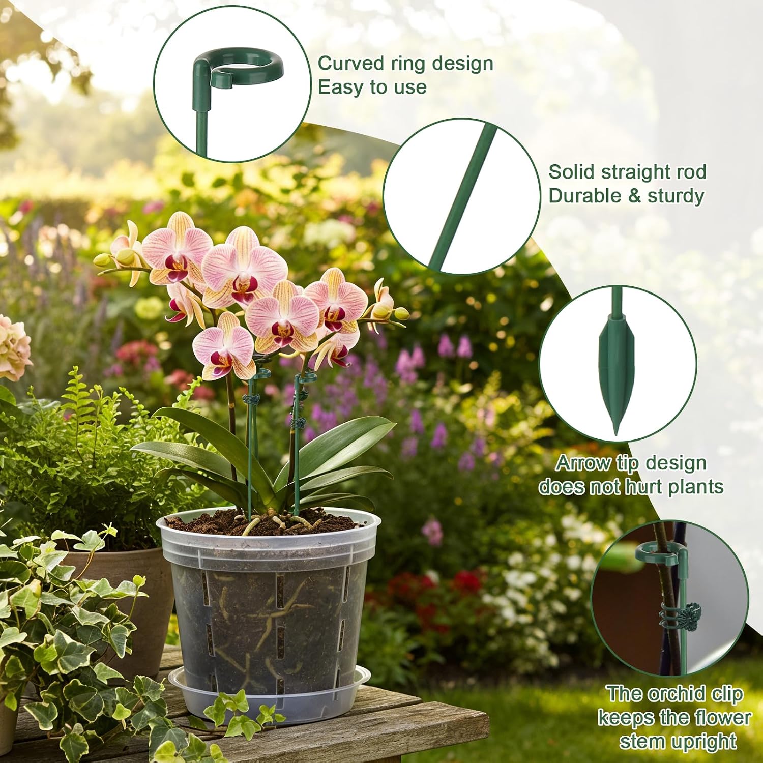เสาค้ำต้นไม้ 5/10 ชิ้น สำหรับย - Florist Supp บทวิจารณ์และราคา
