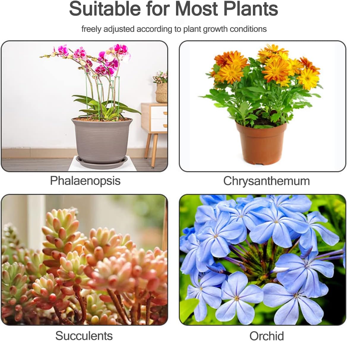 เสาค้ำต้นไม้ 5/10 ชิ้น สำหรับย - Florist Supp บทวิจารณ์และราคา